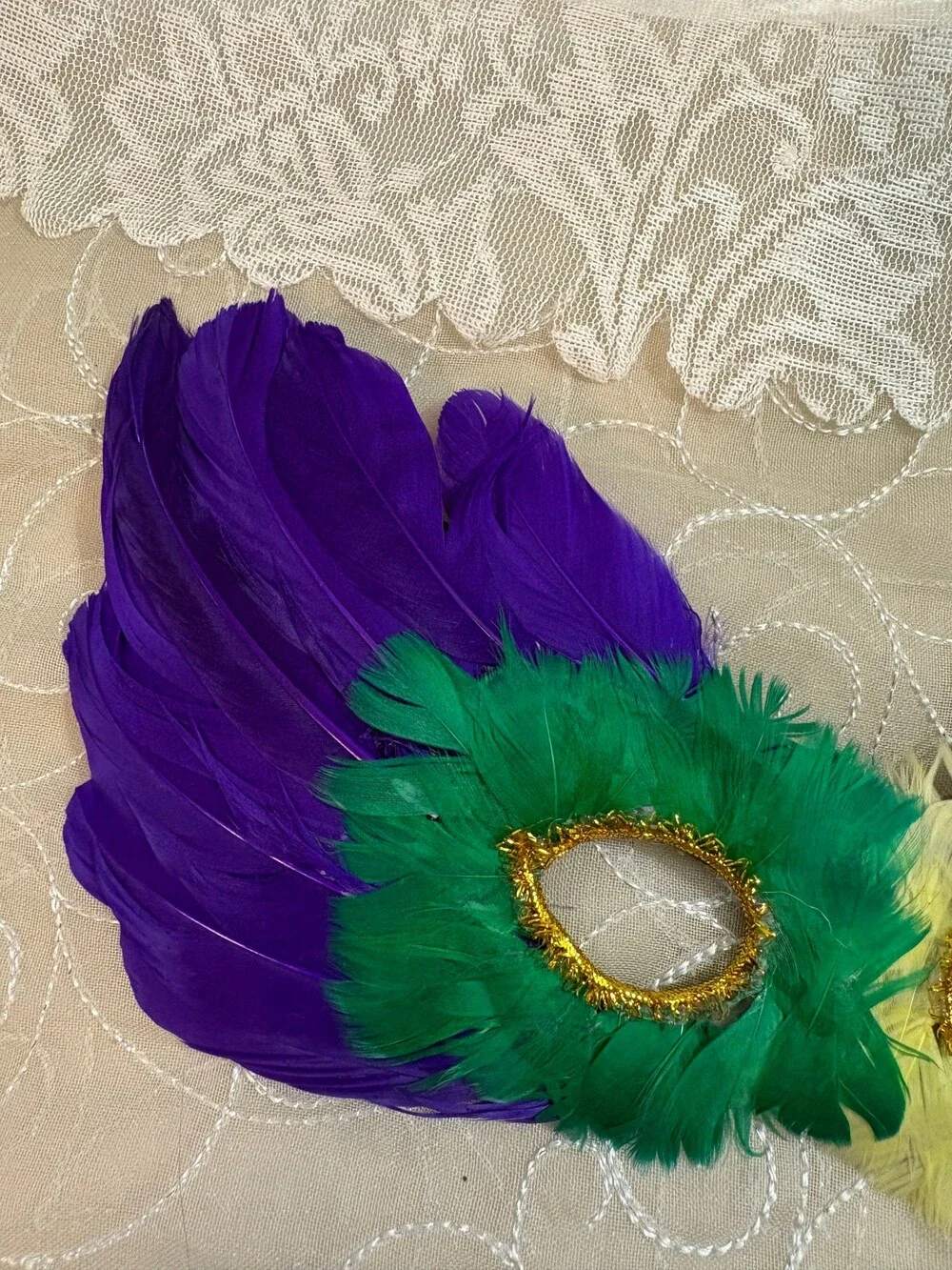 Mardi Gras Feather Masquerade Mask Costume Accessory